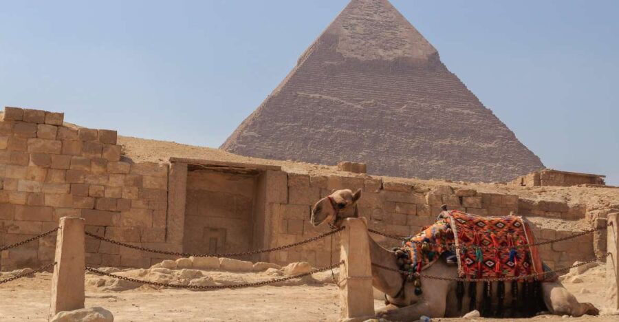 From Alexandria: Cairo, Pyramids & Egyptian Museum Day Tour - Tour Overview