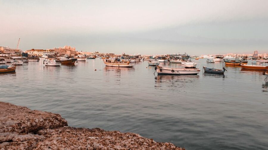 From Alexandria: Highlights of Alexandria Full City Tour