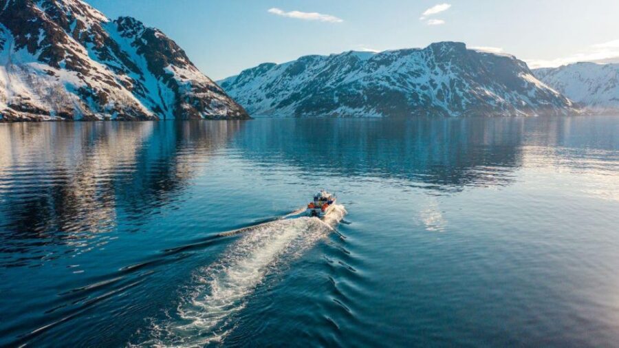 From Alta: Adventure Cruise in Alta Fjord