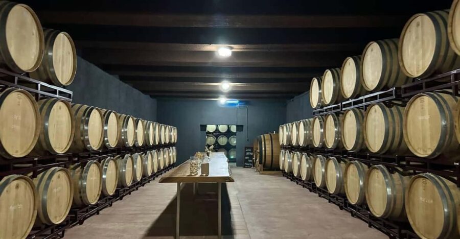 From Altea,Benidorm,Alicante: Winery Tour and Wine Tasting
