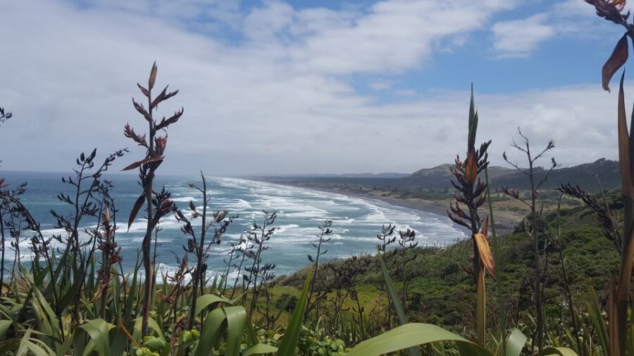 From Auckland: Small Group Kumeu Wine Tour With Lunch