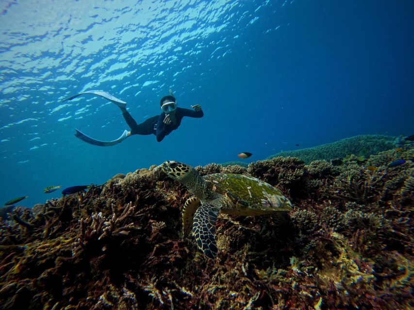 From Bali: 3 Snorkeling Spots Tour to Lembongan and Penida - Tour Overview and Pricing