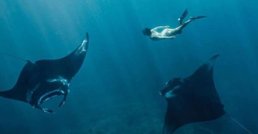 From Bali: Manta Point Snorkeling & West Nusa Penida