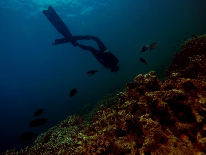 From Bali Snorkling Manta Point Nusa Penida & Land Tours