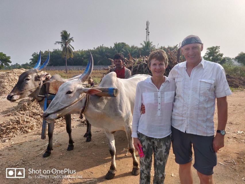 From Bangalore: Day Trip to Somnathpur & Talakadu With Lunch
