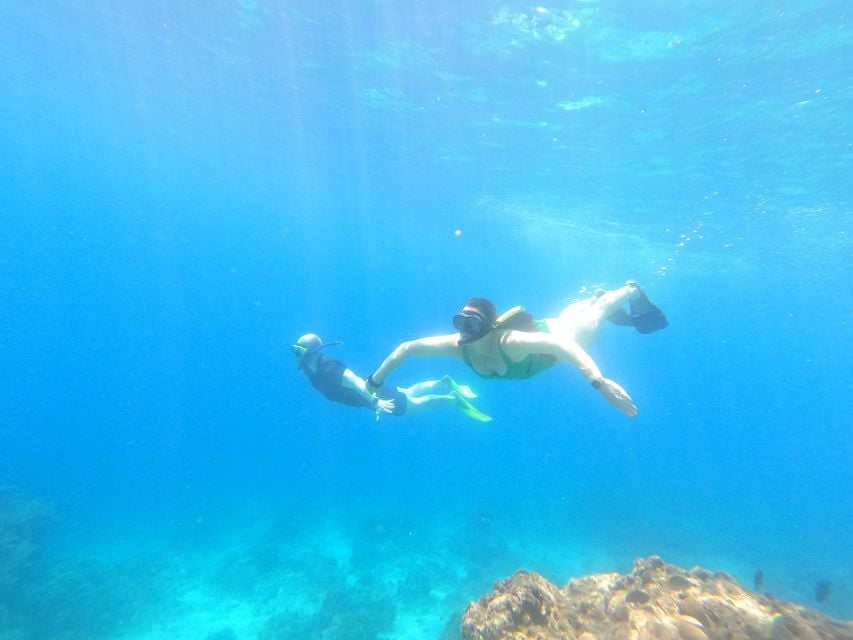 From Banyuwangi: A Private Tour Menjangan & Tabuhan - Tour Overview and Pricing