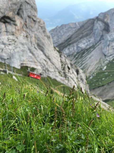 From Basel: Mt. Pilatus and Lake Lucerne Private Tour