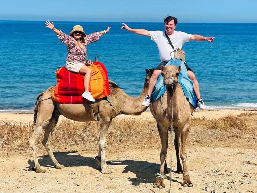 From Benalmadena: Private Day Tour to Tangier