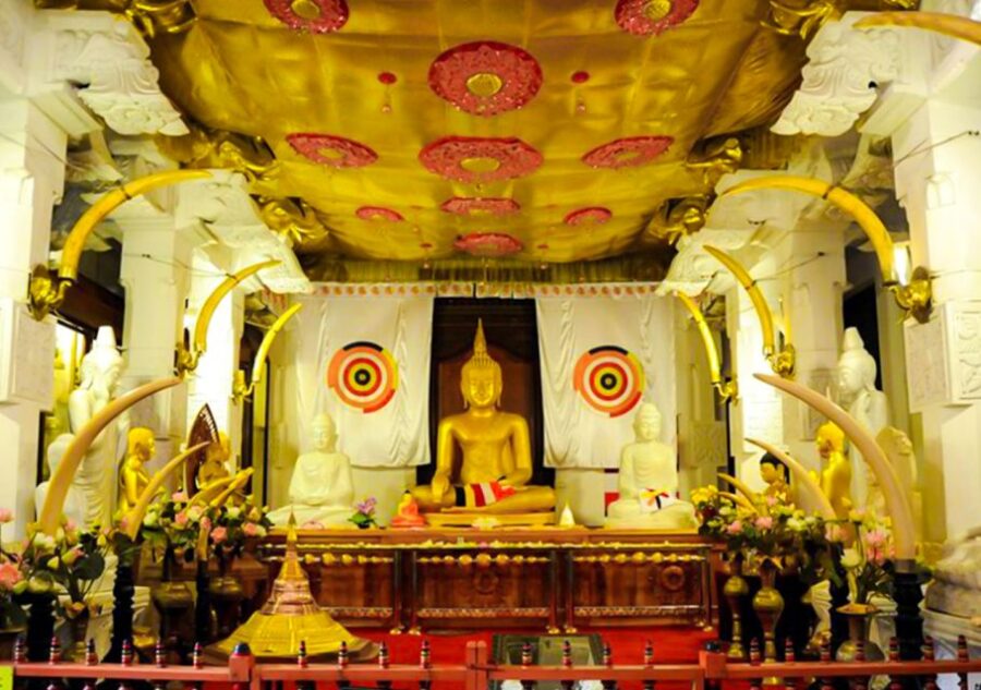 From Bentota or Beruwela: Private Day Tour to Kandy