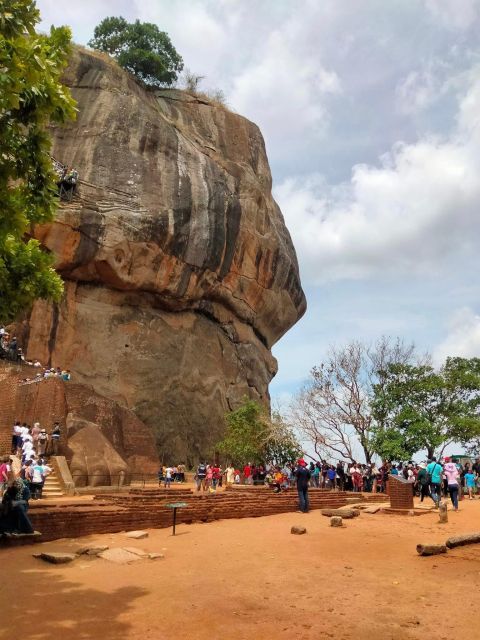 From Bentota: Sigiriya Lion Rock & Dambulla Cave Temple Tour - Tour Overview and Pricing