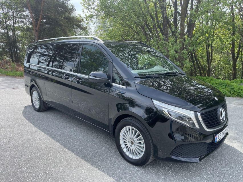 From Bergen: Private Transfer to Gudvangen - Overview of Private Transfer Service