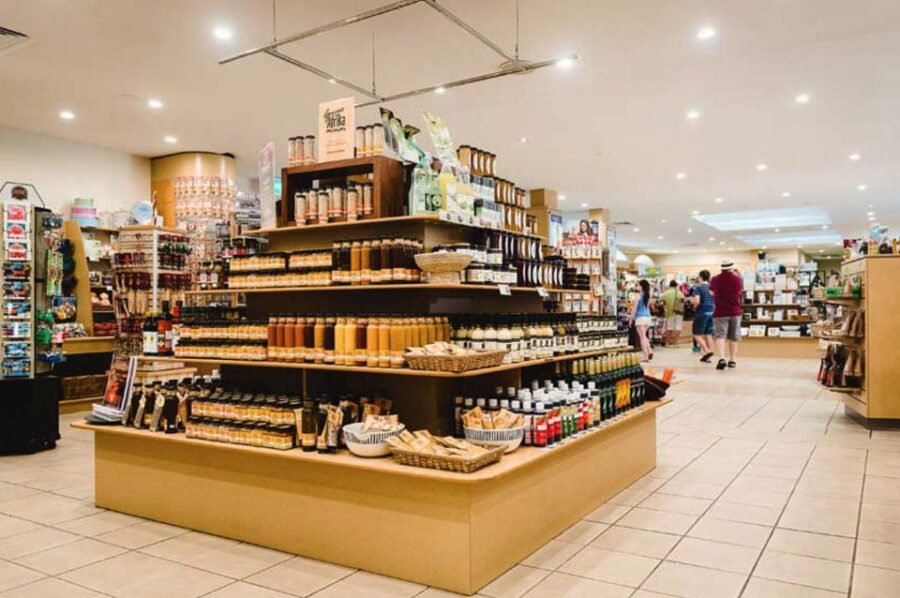 From Brisbane: Day Trip to Noosa, Eumundi Markets - Tour Overview