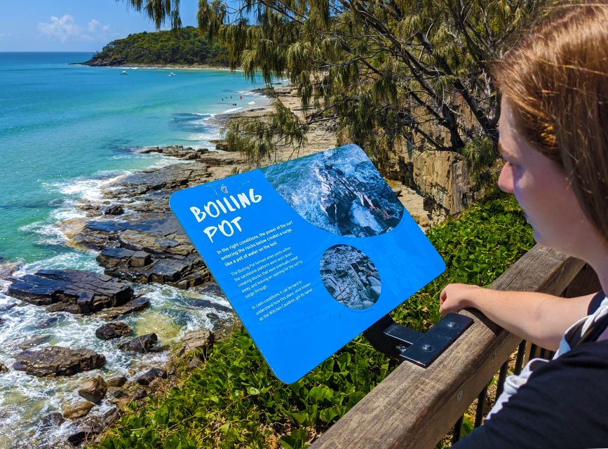 From Brisbane: Day Trip to Noosa, Glass House Mtns and Zoo - Tour Overview