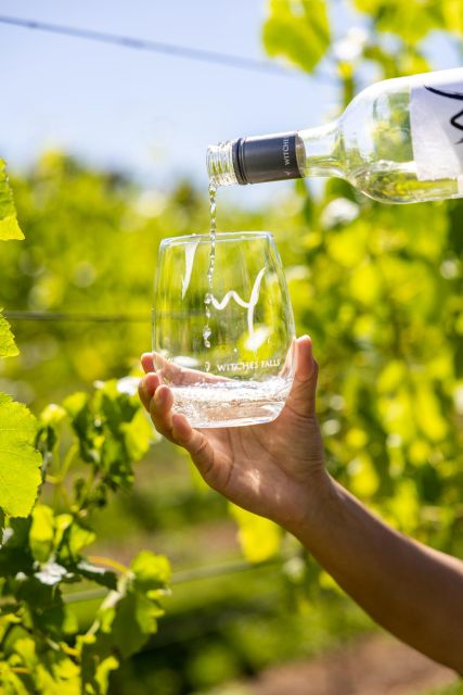 From Brisbane: Luxury Winery Tour and Gourmet Lunch