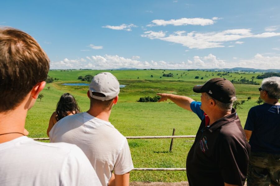 From Cairns: Atherton Tableland Wilderness Tour With Lunch