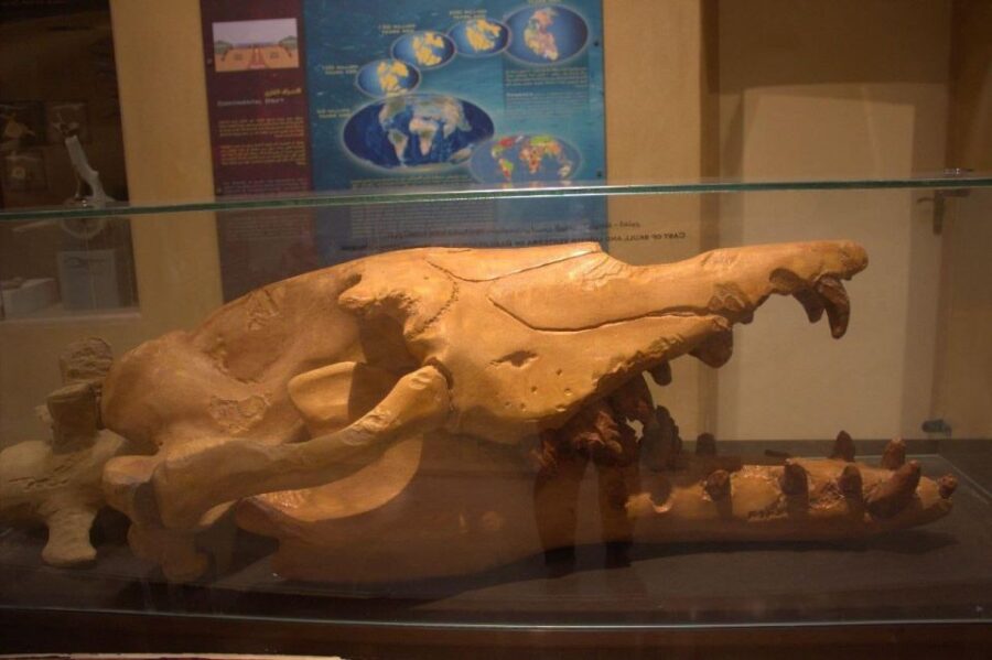 From Cairo: Wadi El-Rayan & Waterfalls & Magic Lake - Tour Overview