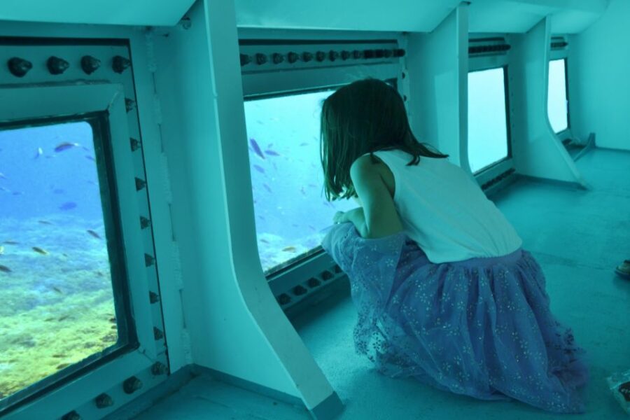 From Cala Millor: East Coast Glass-Bottom Boat Trip - Tour Options and Pricing