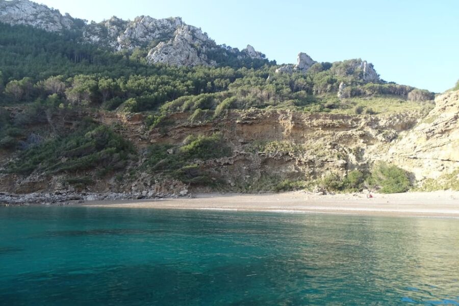 From Can Picafort: Dolphin Watching and Cave Boat Trip
