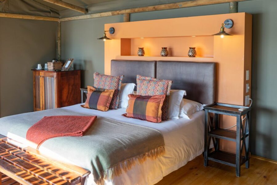 From Cape Town: 2-Day Wildlife and 4x4 Safari Experience