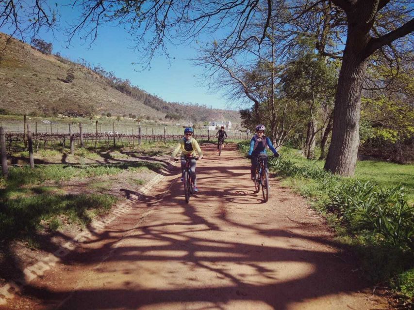 From Cape Town: Franschhoek Vineyards Bike Tour With Lunch