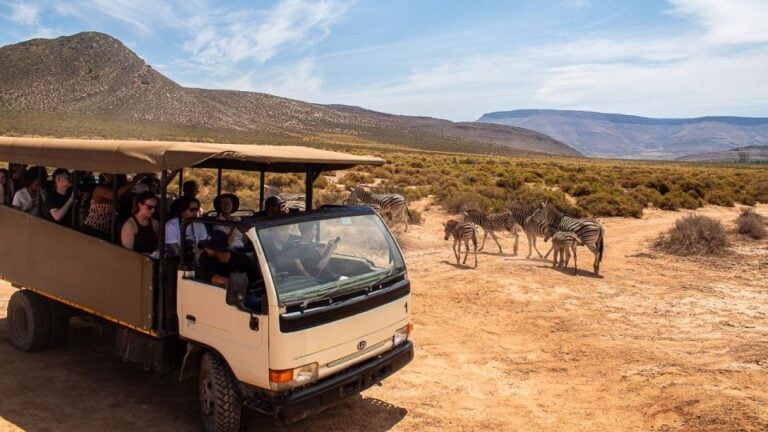 From Cape Town: Group Transfer Only to Aquilla Game Reserve