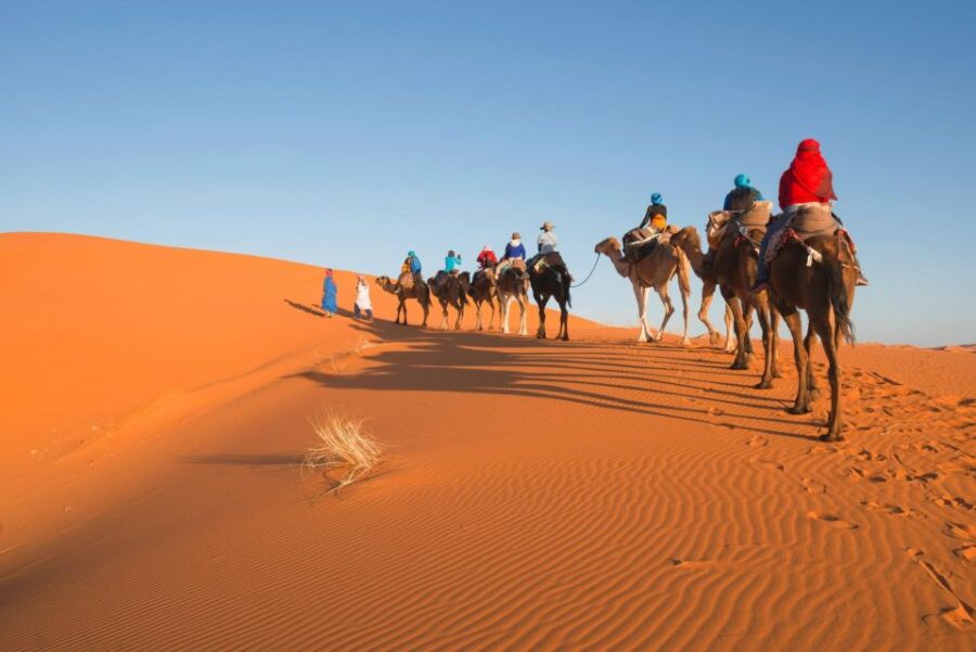 From Casablanca: 7Day Imperial Cities To Desert & Marrakech