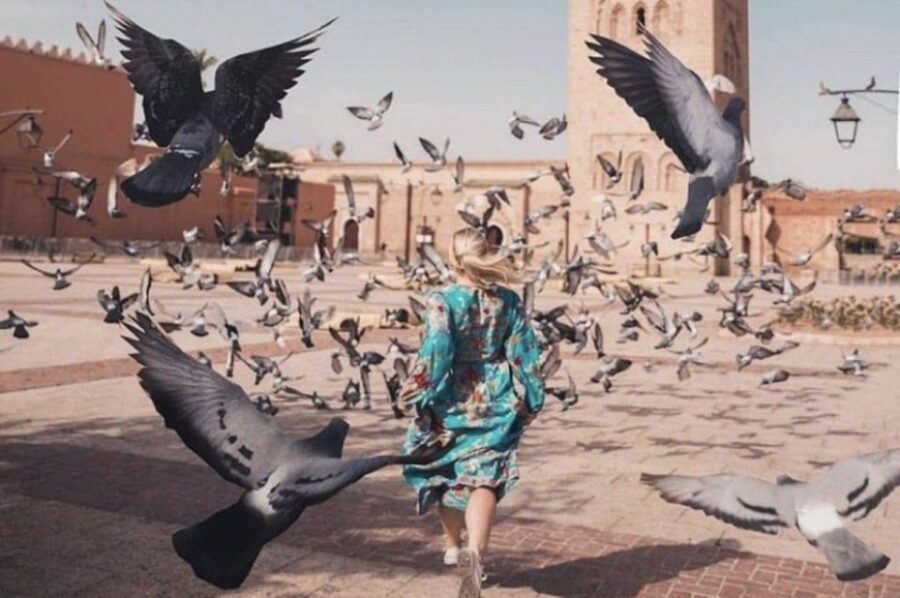 From Casablanca: Marrakech City Tour With Lunch & Camel Ride
