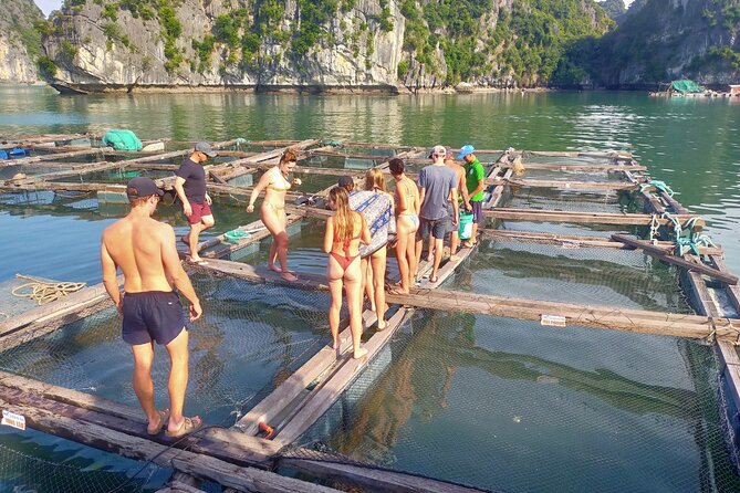 From Cat Ba Island: Full Day Boat Tour to Lan Ha Bay - Ha Long Bay