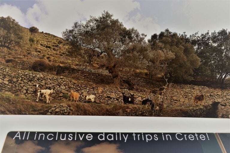 From Chania: Elafonisi & Falasarna Shared Tour With Snacks