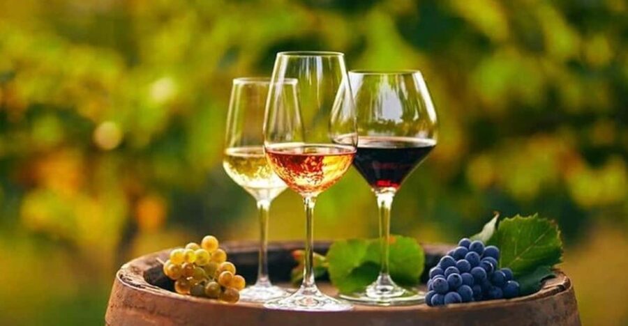 From Chania: Olive Oil, Wine, Cheese & Honey Tasting Tour
