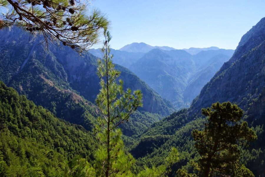 From Chania/Rethymno: Samaria Gorge Easy Way