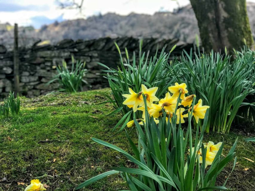 From Chester: Lake District Full-Day Guided Sightseeing Tour