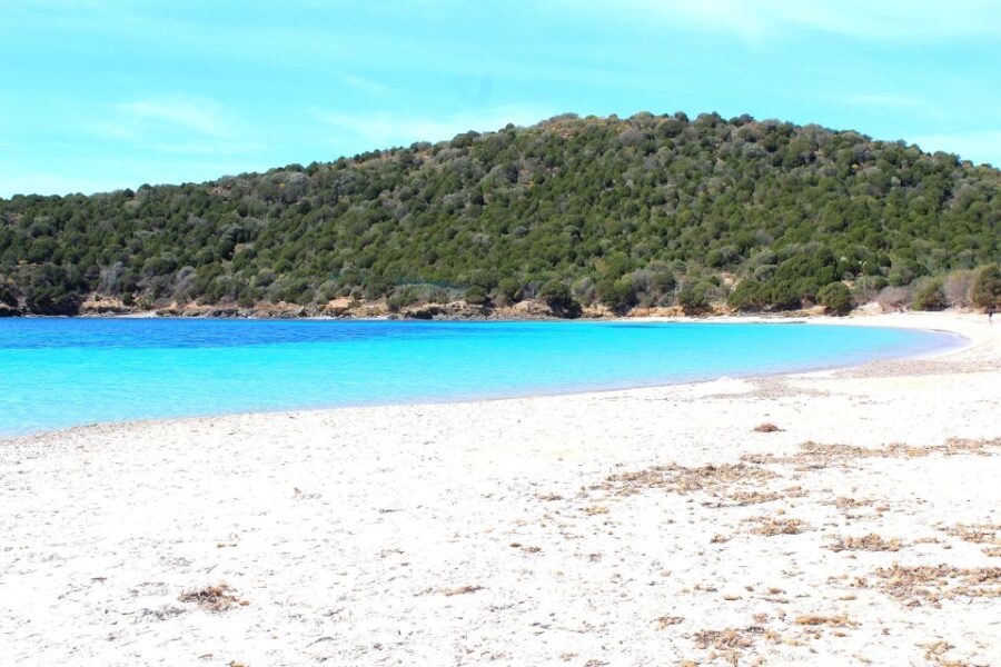 From Chia: Full-Day Tour of Sardinias Hidden Beaches