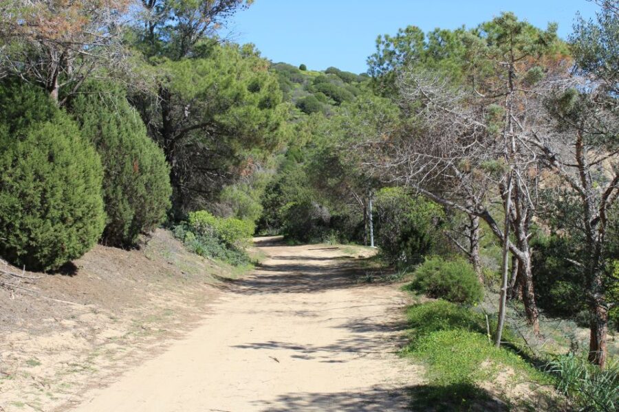 From Chia: Private Half-Day Ancient Roman Road Hiking Tour - Tour Overview