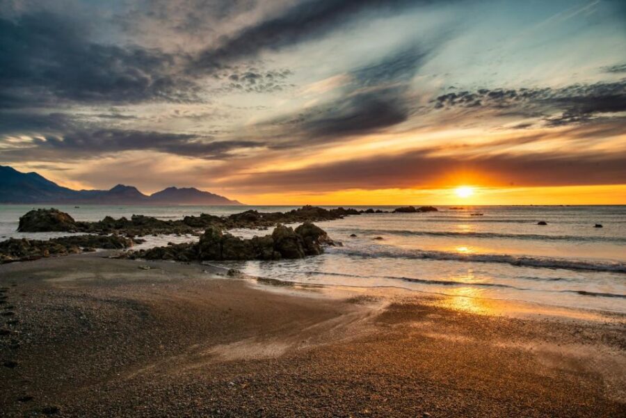 5 Best Dolphin Watching Tours In Christchurch