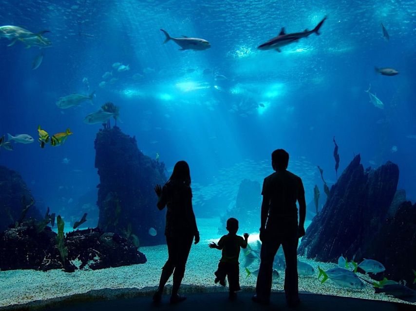 From City of Side: Antalya Aquarium Full-Day Trip - Trip Overview