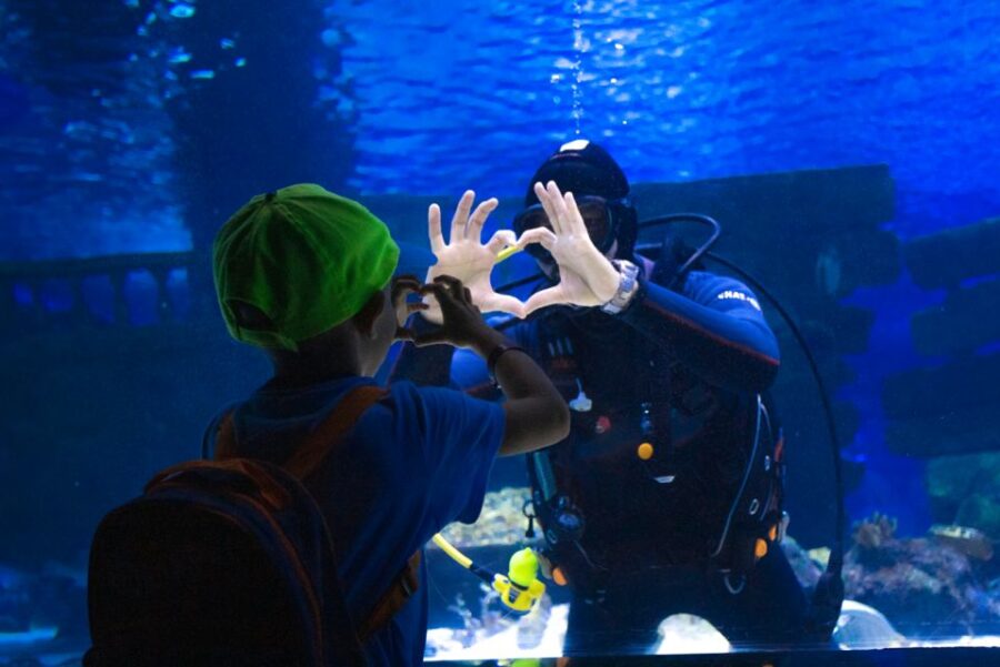 From City of Side: Antalya Aquarium Tour, Ticket & Transfer - Tour Overview and Pricing