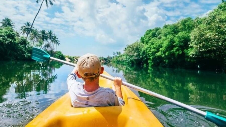 From Colombo: Bentota Day Tour and Hikkaduwa Beach Tour