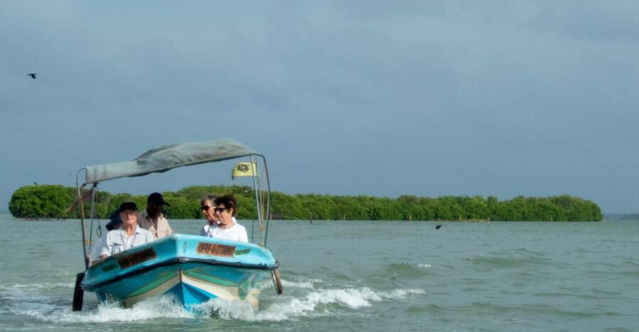 From Colombo: Negombo Lagoon (Mangrove )Boat Excursion