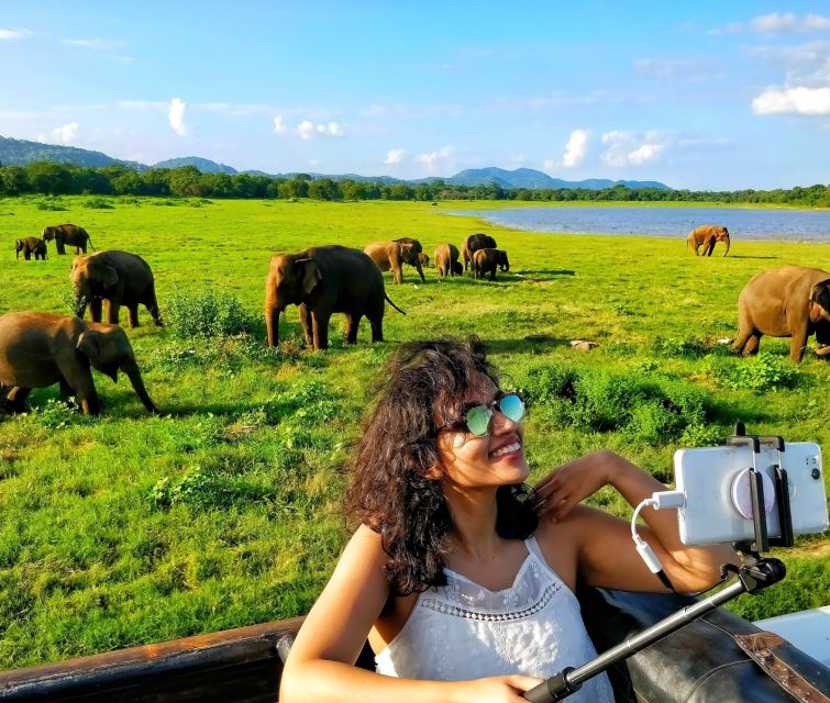 From Colombo: Private Minneriya National Park Day Safari