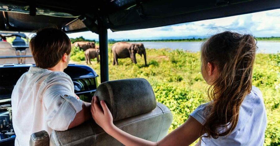 From Colombo: Udawalawa Safari & Elephant Transit Home Tour - Tour Overview