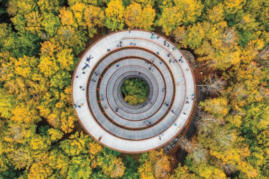 From Copenhagen: Round-Trip to Møns Klint and Forest Tower