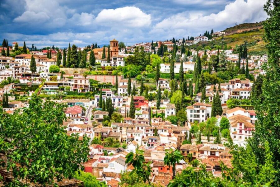 From Costa Del Sol: Granada Day Trip Free Time 5h - Trip Overview and Pricing