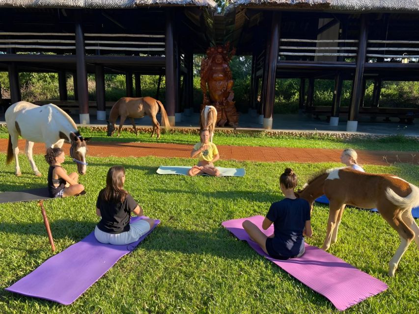 From Da Nang: Half Day Horse Riding and Coconut Boat-Hoi An. - Tour Overview