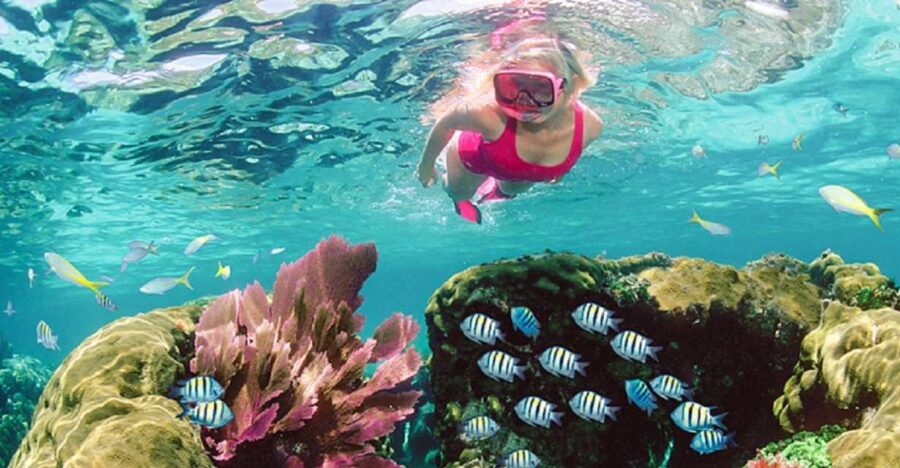 2 Best Guided Tours In Dahab