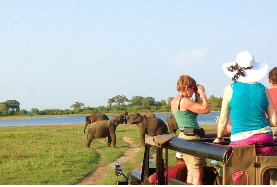 From Dambulla: Full Day Safari at Minneriya National Park