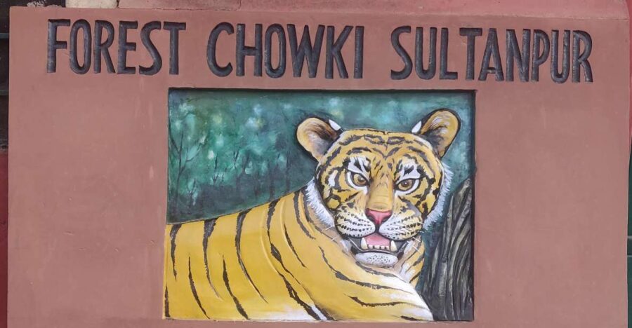 From Delhi: 3-Days Jaipur & Ranthambore Tiger Safari Tour
