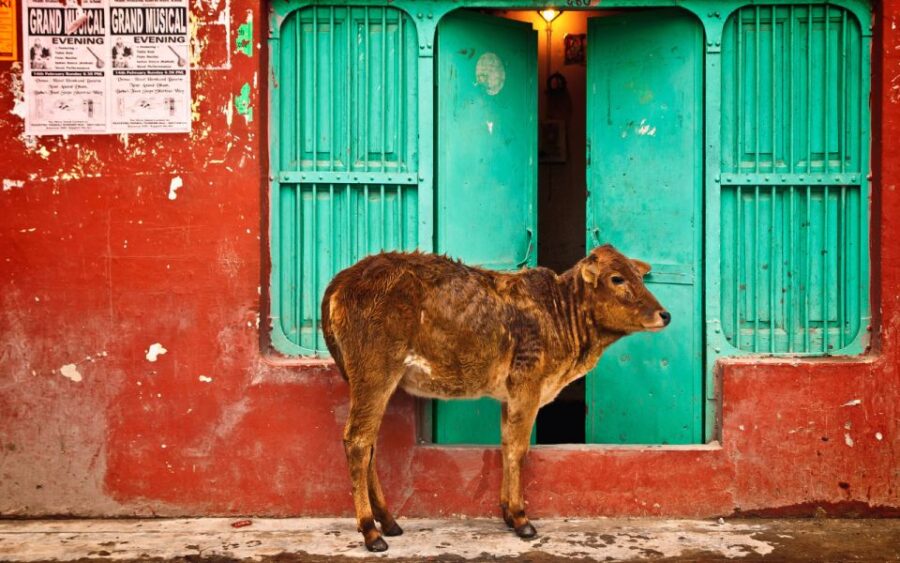 From Delhi: 4-Day Golden Triangle Tour