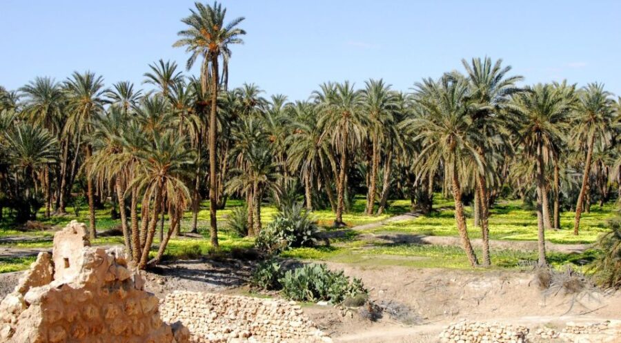 3 Best 2 Day Tours In Djerba