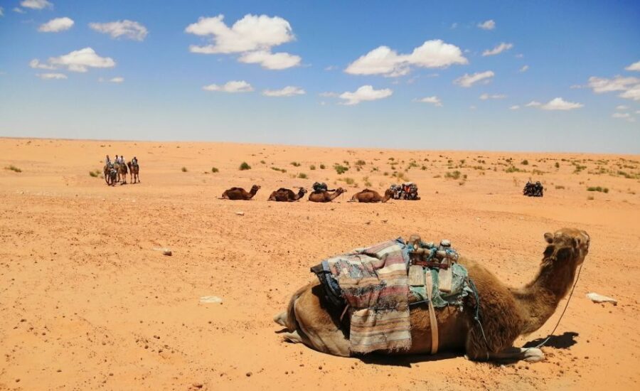 From Djerba Midun: 2-Day Desert and Ancient Cottage Tour